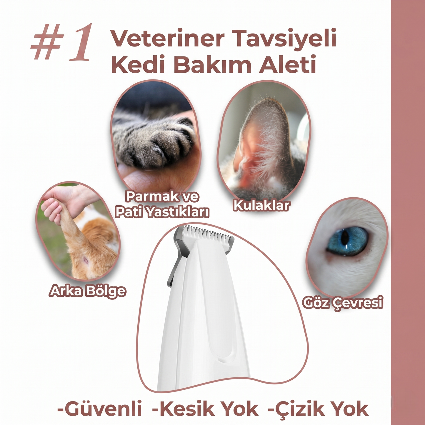 PatiMo™ Kedi Bakım ve Traş Makinesi
